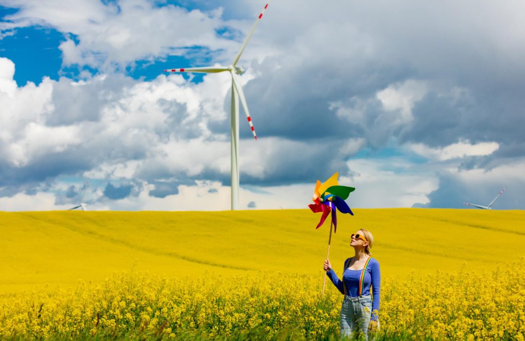 yellow wildflowers-happy-happiness-colorful-windmill